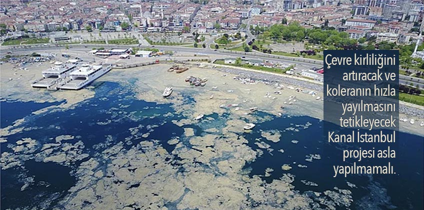 Marmara Denizi’nin ölümü: İstanbul kolera salgınına hazır mı?